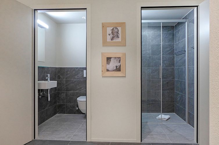 Appartement SWISSPEAK Resorts Meiringen
