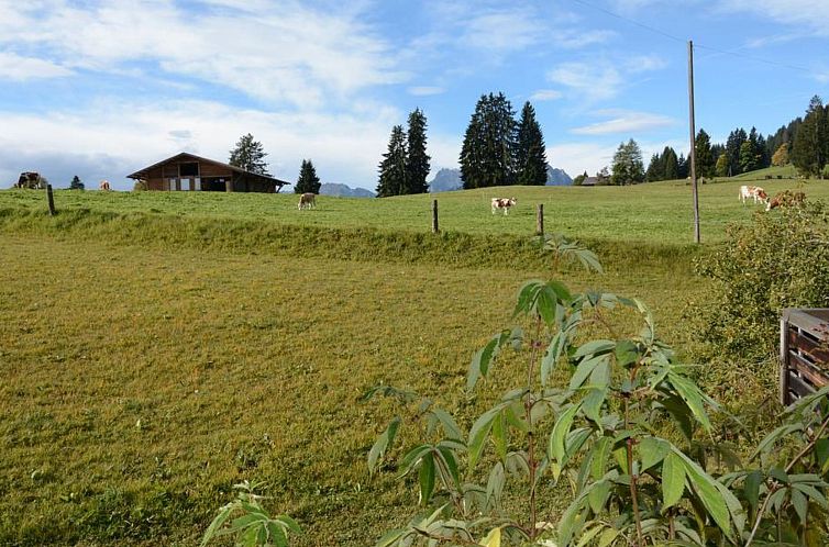 Appartement Mutzli