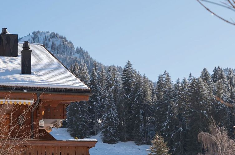 Appartement Fichte (Marija)