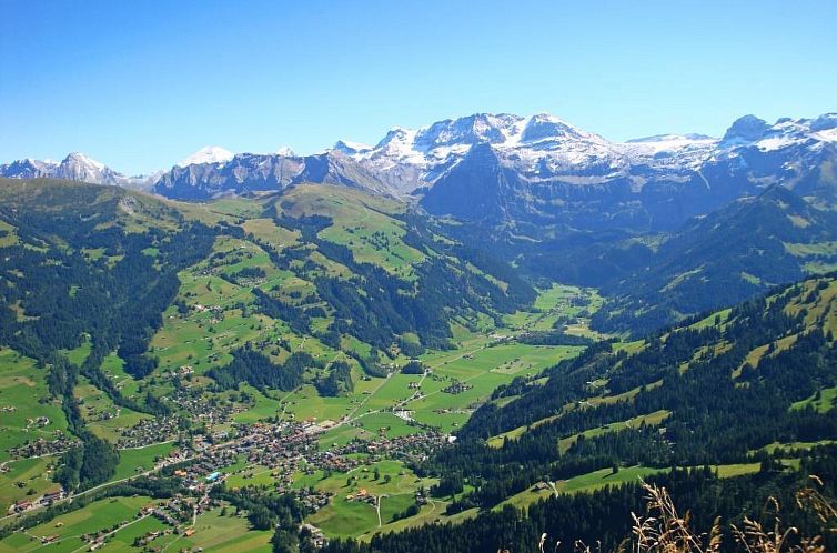 Appartement Kronenplatz 7 # 3