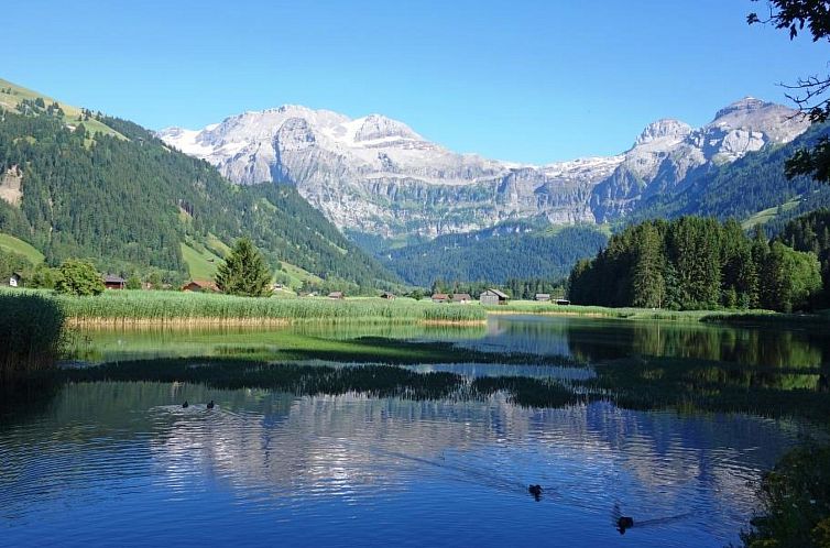 Appartement Kronenplatz 7 # 3