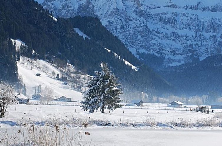 Appartement Kronenplatz 7 # 3