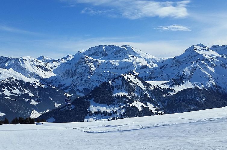 Appartement Kronenplatz 7 # 3