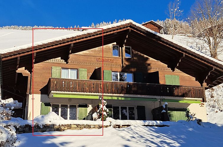 Appartement Chalet Flöschhorn