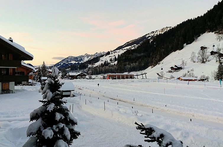 Appartement Chalet Lerchweid Lenk