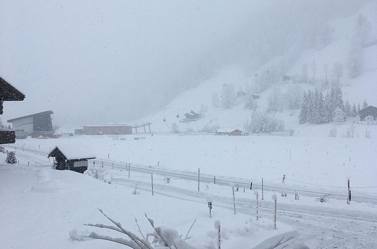 Appartement Chalet Lerchweid Lenk