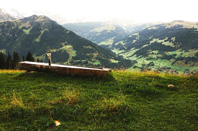 Appartement Chalet Lerchweid Lenk