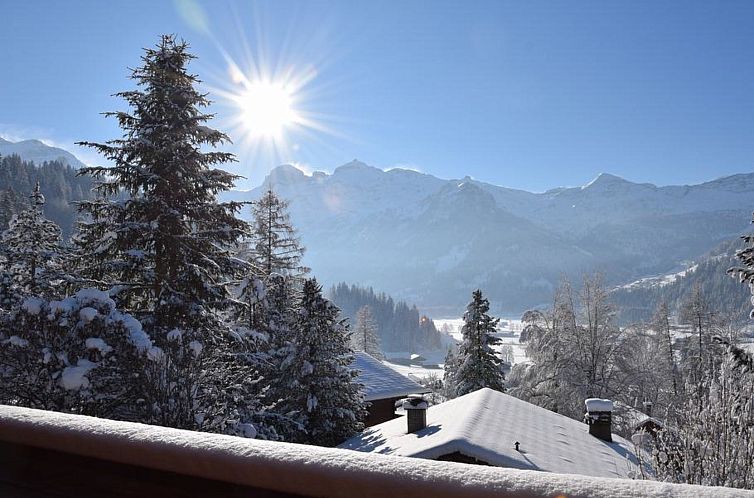 Appartement Steirösli 1. & 2. Stock