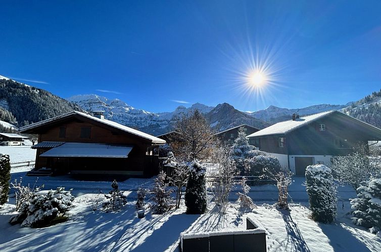 Appartement Chalet Ilge