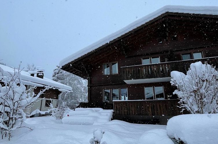 Appartement Chalet Ilge