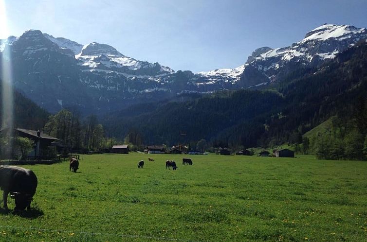 Appartement Rothenbach