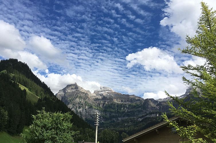 Appartement Rothenbach