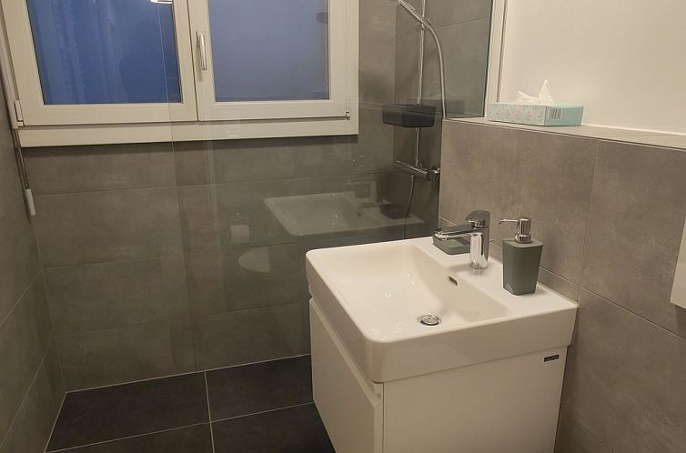 Appartement Lenk Unique