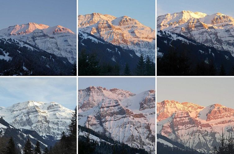 Appartement Lenk Unique