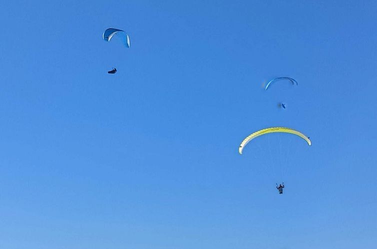 Appartement Lenk Unique