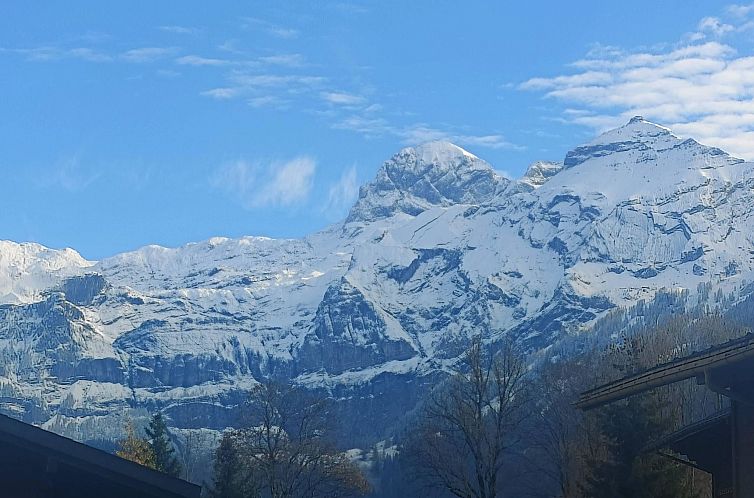 Appartement Lenk Unique