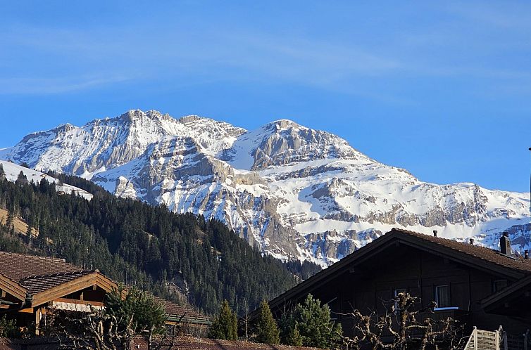 Appartement Lenk Unique