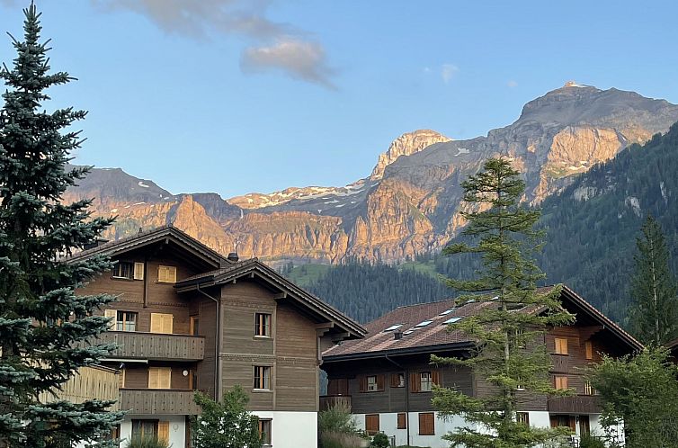 Appartement Bergecho EG Mitte