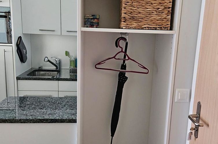 Appartement Bergecho EG Mitte