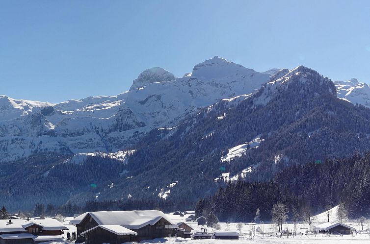Appartement Chalet Claudia