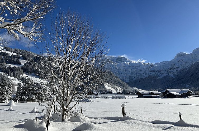 Appartement Chalet Claudia