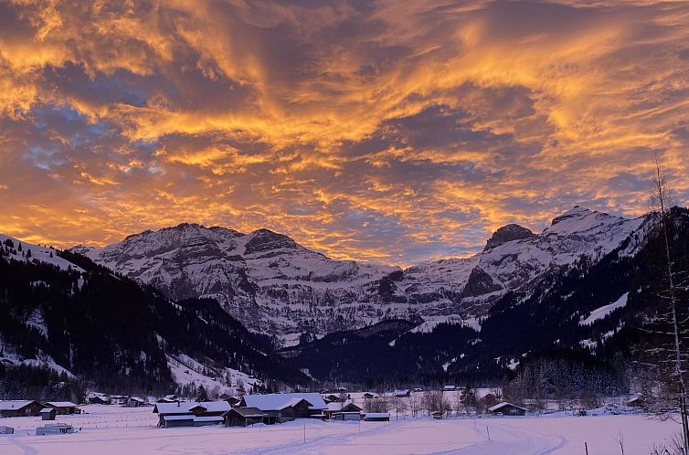 Appartement Chalet Claudia