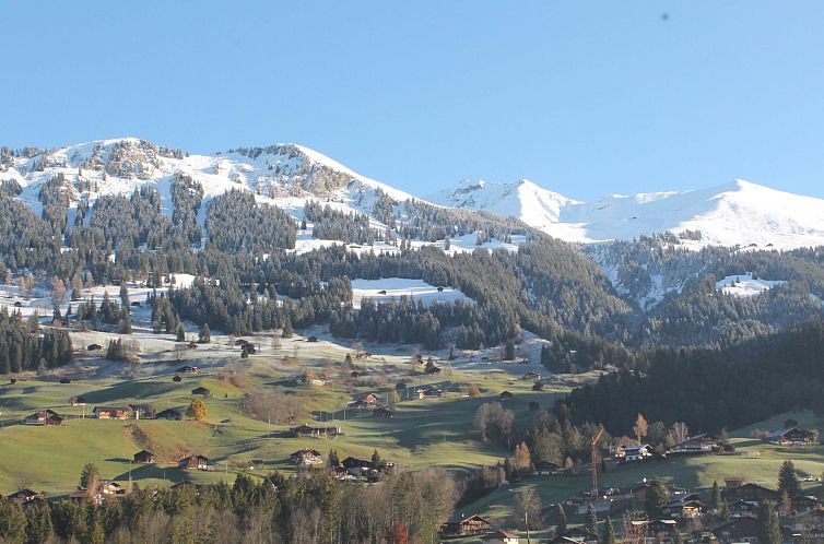 Appartement Aegertenstrasse 10