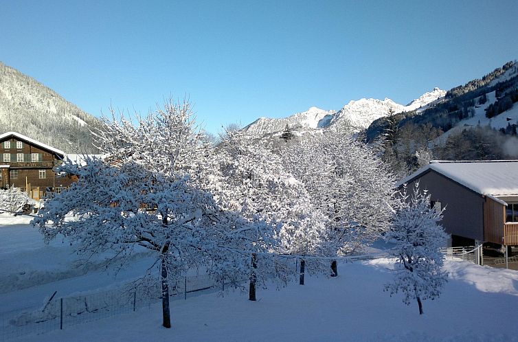 Appartement Aegertenstrasse 10