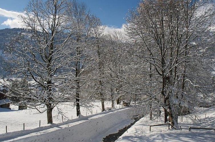 Appartement Pony 5-Bettwohnung