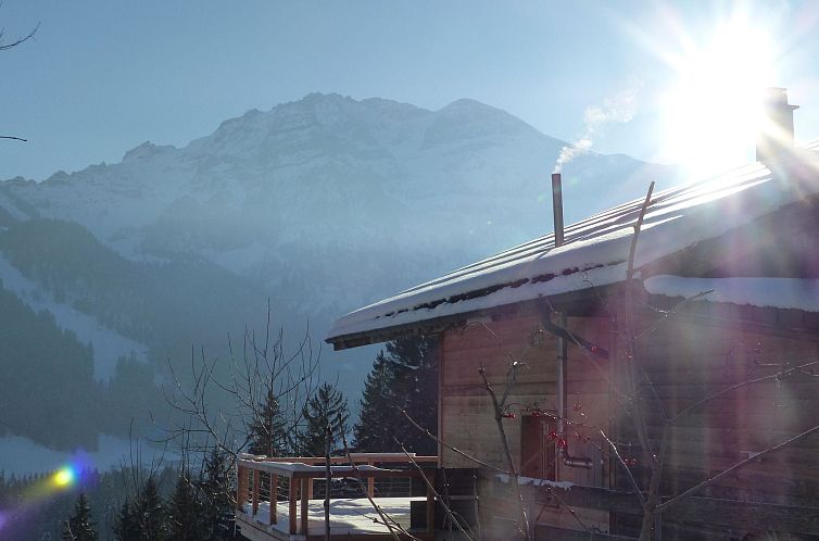 Appartement Strubelblick EG