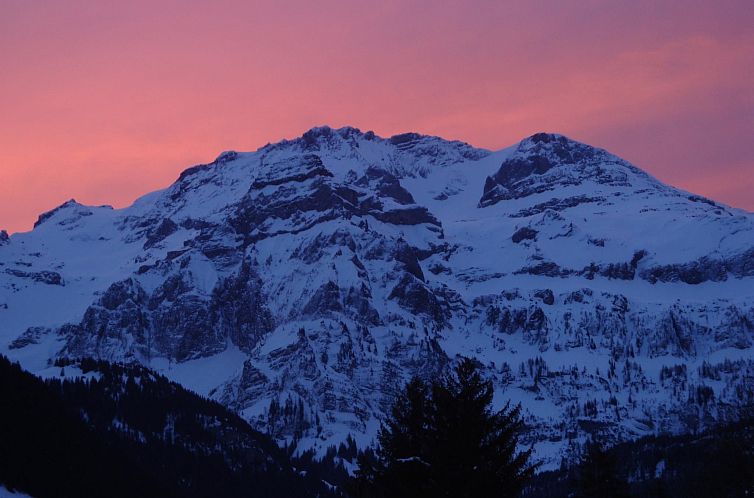 Appartement Strubelblick EG