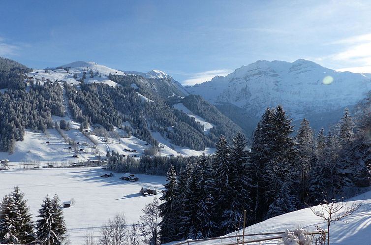 Appartement Strubelblick EG