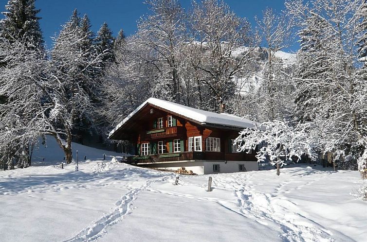Appartement Chalet Maru