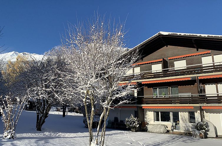 Appartement Ferienwohnung Waldrand EG