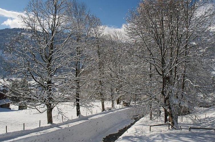 Appartement Pony 4-Bettwohnung