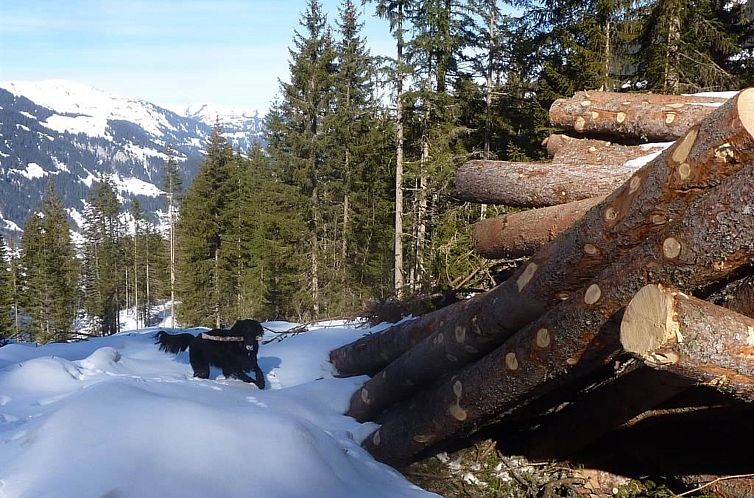 Appartement Sumpfbödeli