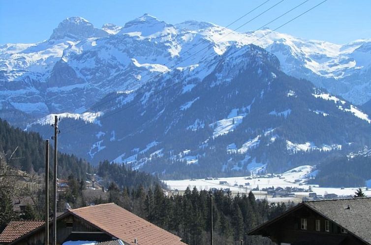 Appartement Chalet Pletschen