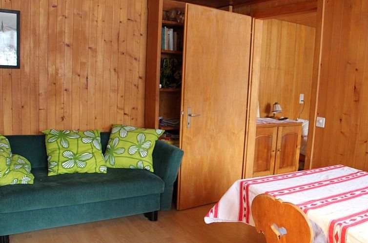 Appartement Chalet Pletschen
