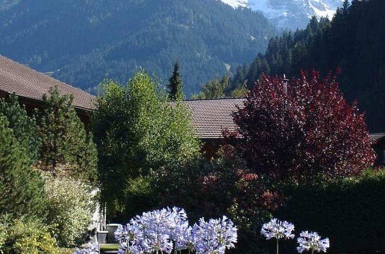 Appartement Gwunderstübli