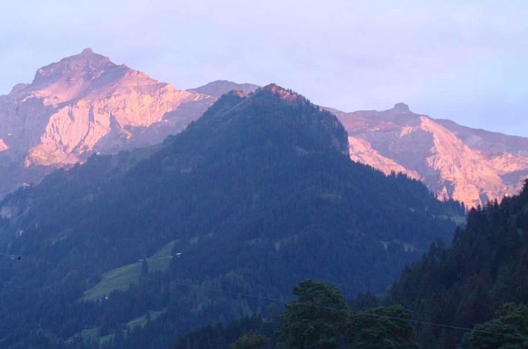 Appartement Gwunderstübli