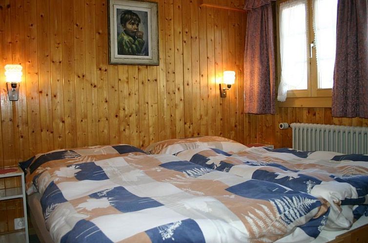 Appartement Gletscherhorn # 2 Appartement/Fewo, Dusche oder 