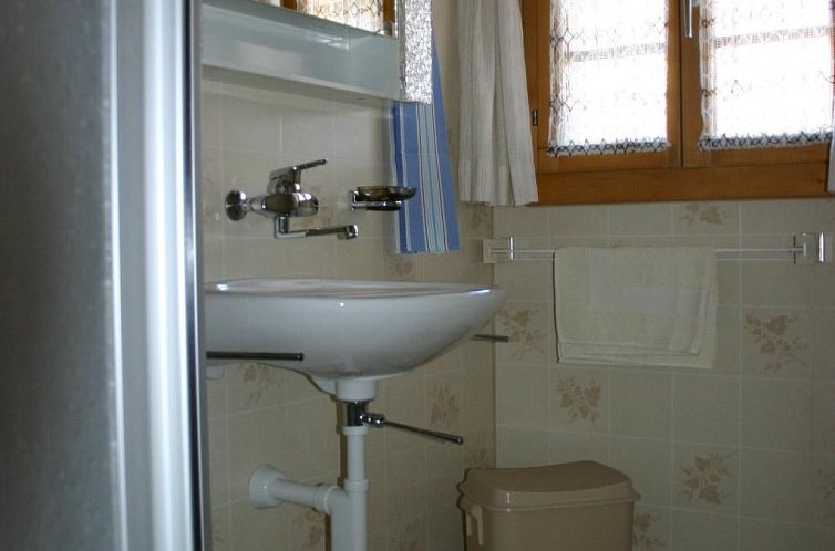 Appartement Gletscherhorn # 2 Appartement/Fewo, Dusche oder 