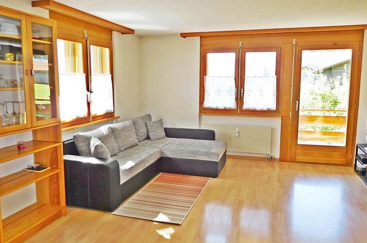 Guest house 1803577 - Apartment Berner Oberland - Appartement Amaryllis Appartement/Fewo, Dusche und Badewanne