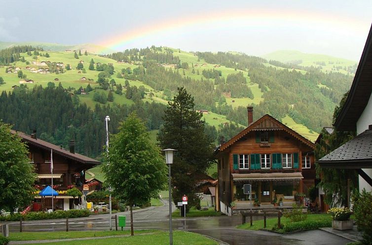 Unterkunft 1803581 - Appartement Berner Oberland - Appartement Gwunderstübli Appartement/Fewo, Dusche oder Bad