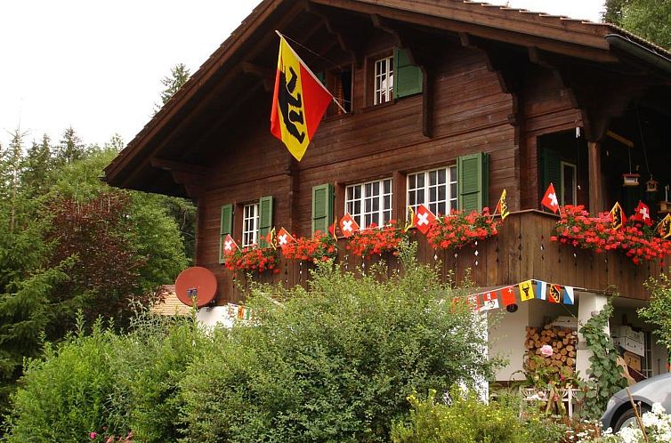 Appartement Bach Appartement/Fewo, Dusche oder Bad, WC, 1 Sc
