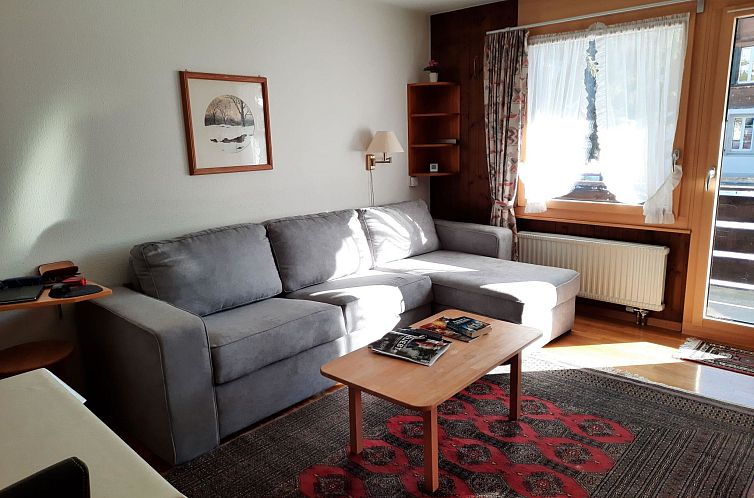 Appartement Mösli (Zimmerli)
