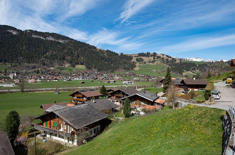 Appartement Chalet Anita