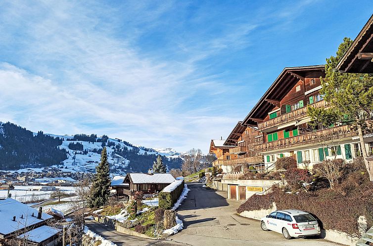Appartement Chalet Anita