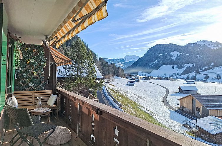 Appartement Chalet Anita