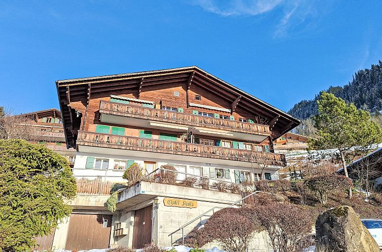 Appartement Chalet Anita